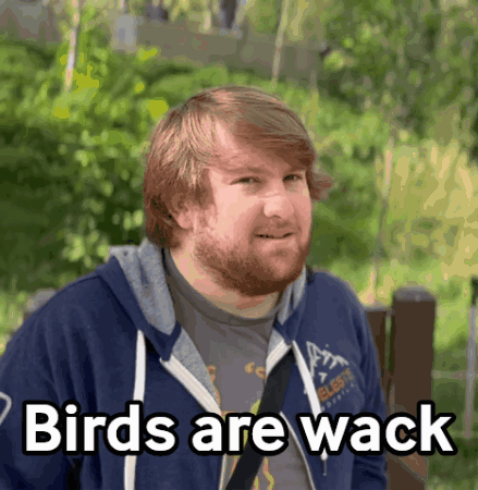 A Man With A Beard Is Wearing A Blue Hoodie That Says " Birds Are Wack " GIF