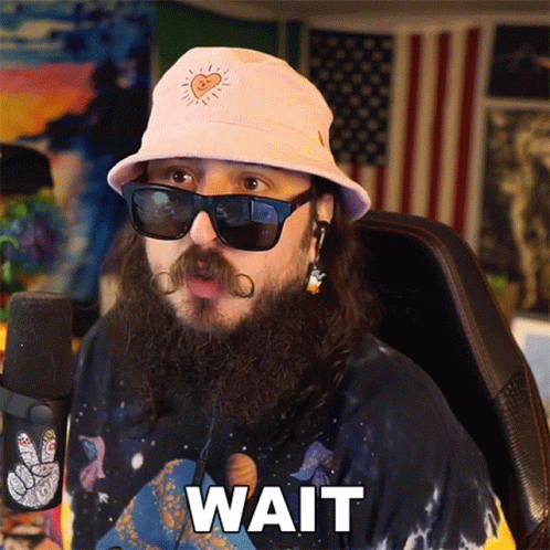 A Man With A Beard Is Wearing A Hat And Sunglasses And Says Wait GIF