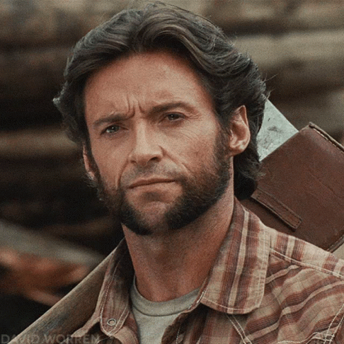 A Man With A Beard Is Wearing A Plaid Shirt And Holding An Axe On His Shoulder GIF