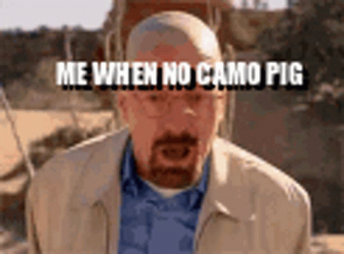 A Man With A Beard Is Wearing Glasses And A Jacket And Says `` Me When No Camo Pig '' GIF