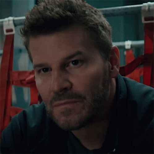A Man With A Beard Looks At The Camera GIF
