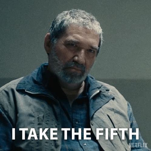 A Man With A Beard Says " I Take The Fifth " In A Netflix Ad GIF
