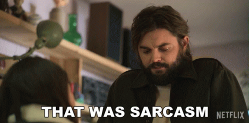 A Man With A Beard Says That Was Sarcasm Netflix GIF