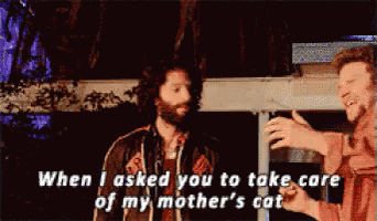 A Man With A Beard Says When I Asked You To Take Care Of My Mother 'S Cat .. GIF