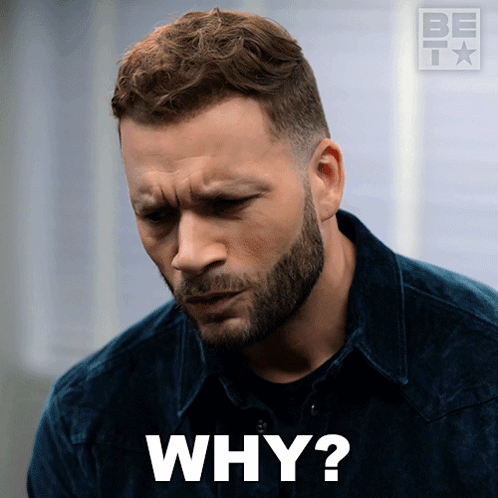 A Man With A Beard Says Why GIF