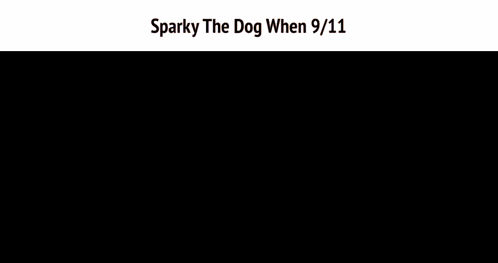 a man with a beard stands in front of a red background with the words sparky the dog when 9/11