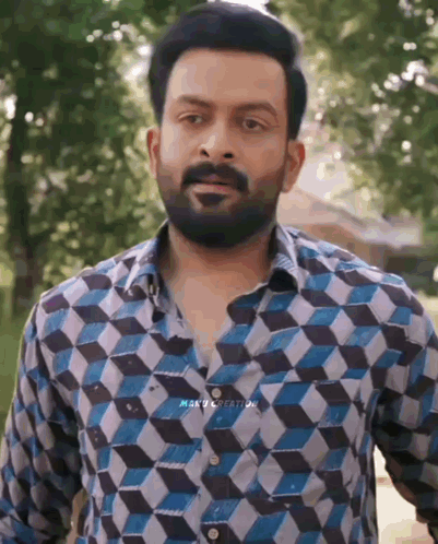 A Man With A Beard Wearing A Blue And White Checkered Shirt GIF
