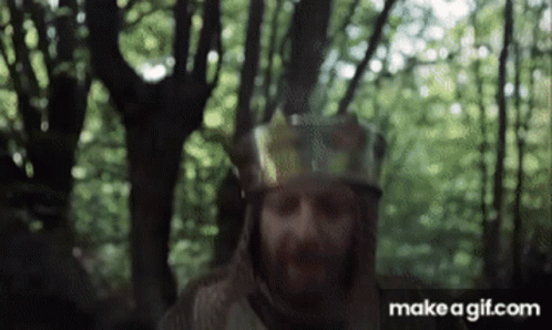 a man with a beard wearing a helmet is standing in a forest .