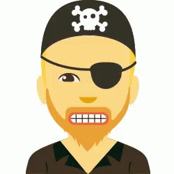 A Man With A Beard Wearing A Pirate Hat With A Skull And Crossbones On It GIF