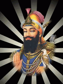 A Man With A Beard Wearing A Turban And Holding A Bird GIF