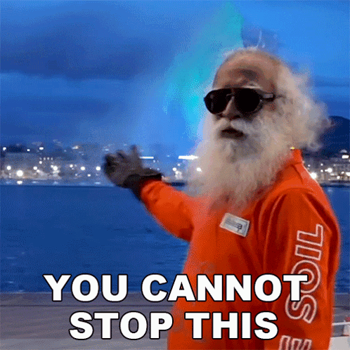 A Man With A Beard Wearing Sunglasses And An Orange Jacket Says " You Cannot Stop This " GIF