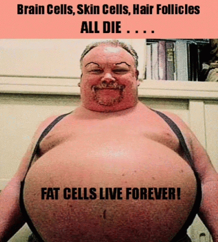 A Man With A Big Belly Has The Words Fat Cells Live Forever Written On His Belly GIF