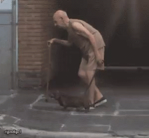 A Man With A Cane Is Walking A Small Dog While Another Man Watches GIF