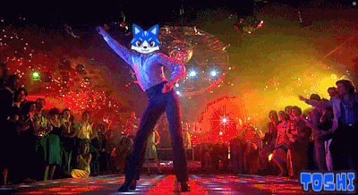 A Man With A Cat On His Head Is Dancing In Front Of A Crowd And The Word Toshi Is On The Bottom Left GIF