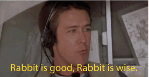 A Man With A Headset Says Rabbit Is Good Rabbit Is Wise GIF