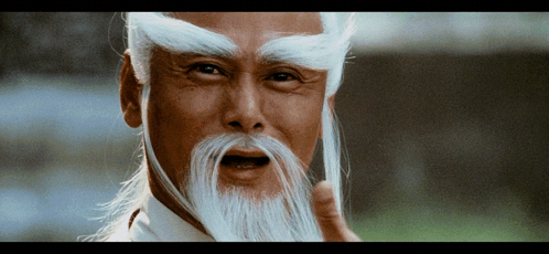 A Man With A Long White Beard And Eyebrows GIF