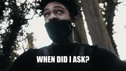 A Man With A Mask On His Face And The Words When Did I Ask Below Him GIF