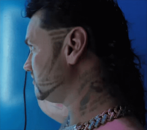 A Man With A Mullet And A Beard Has A Chain Around His Neck GIF