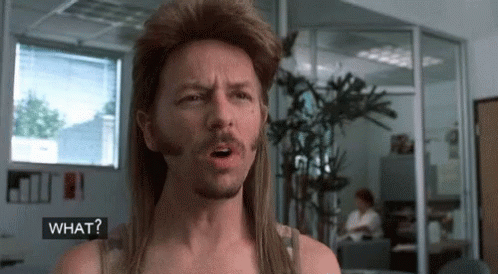 A Man With A Mullet And A Beard Says What GIF