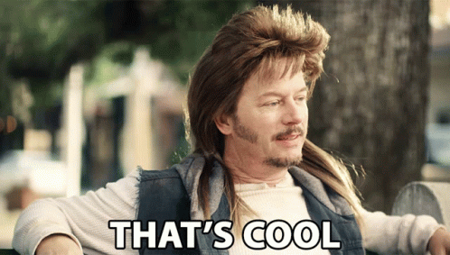 A Man With A Mullet And The Words That 'S Cool GIF