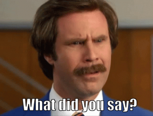 A Man With A Mustache And A Suit Says What Did You Say GIF