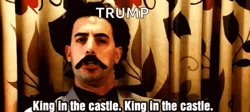 A Man With A Mustache Is Standing In Front Of A Curtain With The Words Trump King In The Castle King In The Castle GIF