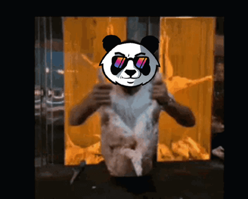 A Man With A Panda Head On His Face GIF