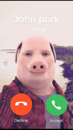 A Man With A Pig Face Is Talking On A Cell Phone GIF