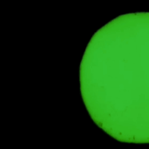 A Man With A Question Mark On His Shirt Is Dancing In A Green Circle GIF