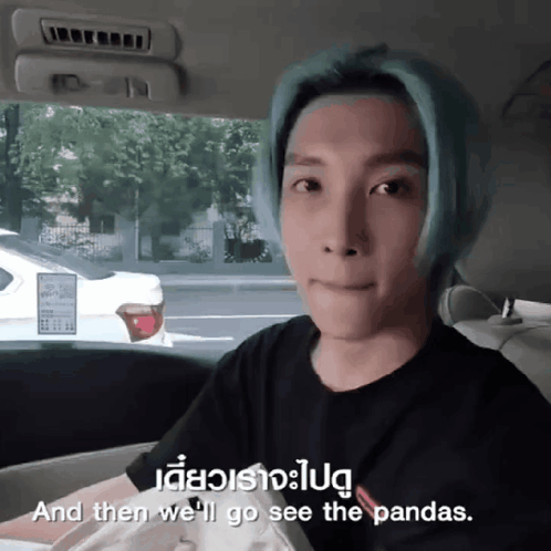 A Man With Blue Hair Is Sitting In The Back Seat Of A Car With The Words " And Then We 'Ll Go See The Pandas " GIF