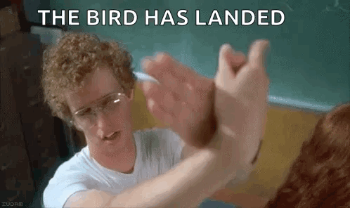 A Man With Curly Hair And Glasses Is Holding A Bird With His Hands . GIF