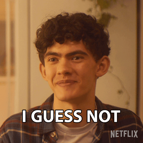 A Man With Curly Hair Says I Guess Not In Front Of A Netflix Logo GIF
