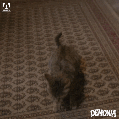 A Man With Demonia Written On The Bottom Of The Image GIF