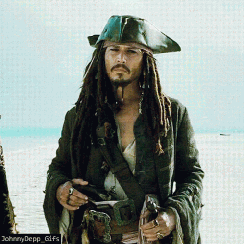 A Man With Dreadlocks And A Pirate Hat Is Standing On A Beach With The Caption Johnny Depp GIF