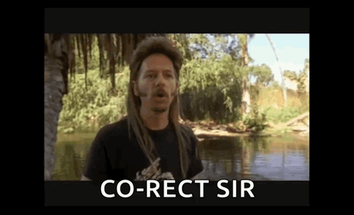 A Man With Dreadlocks Is Standing In Front Of A River And Says `` Co-Rect Sir '' . GIF