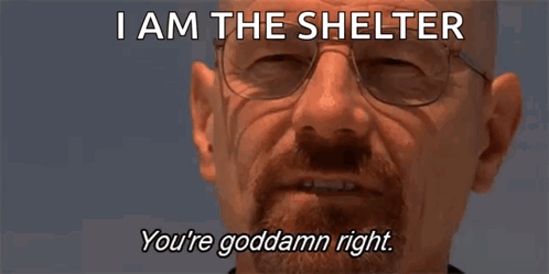 a man with glasses and a beard says i am the shelter