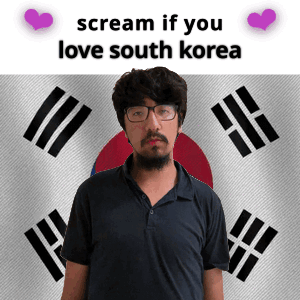 A Man With Glasses And A Beard Stands In Front Of A Korean Flag And Says Scream If You Love South Korea GIF
