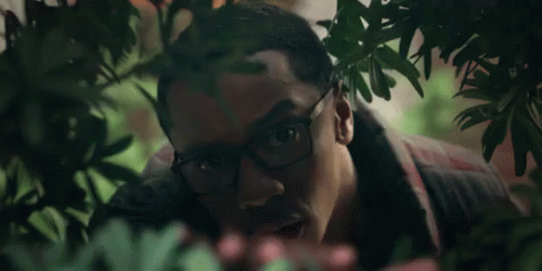 A Man With Glasses Is Peeking Out From Behind A Tree GIF