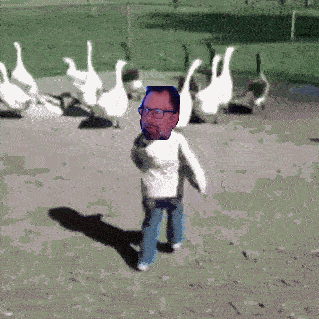 A Man With Glasses Stands In Front Of A Herd Of Geese GIF