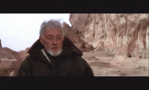 a man with gray hair and a beard is standing in front of a rock wall