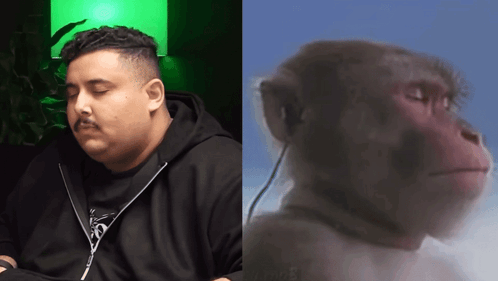 A Man With His Eyes Closed Next To A Monkey With Headphones On GIF