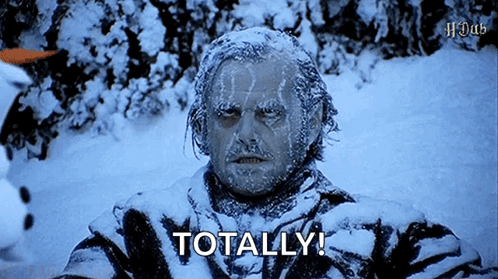 A Man With Ice On His Face Is Standing In The Snow And Saying `` Totally '' . GIF