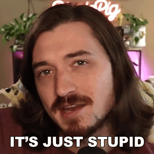 Long Hair Beard Man Says Its Just Stupid GIF