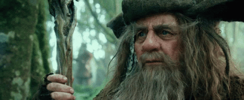 A Man With Long Hair And A Beard Holding A Stick GIF