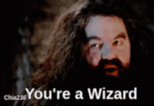 a man with long hair and a beard is being called a wizard