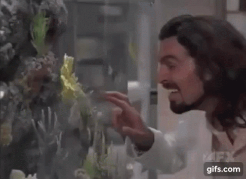 A Man With Long Hair And A Beard Is Touching A Fish Tank . GIF