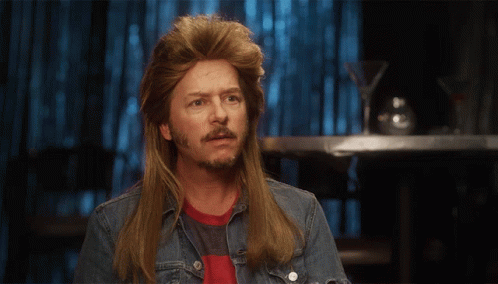 A Man With Long Hair And A Beard Is Wearing A Mullet And A Denim Jacket GIF