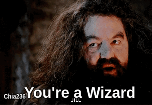 a man with long hair and a beard says you 're a wizard jill