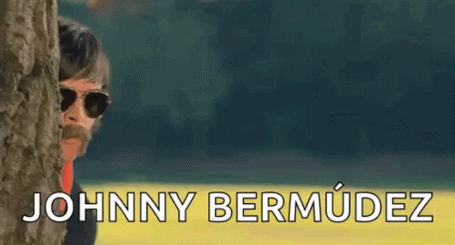 A Man With Sunglasses And A Mustache Is Peeking Out From Behind A Tree And The Name Johnny Bermudez Is On The Bottom GIF