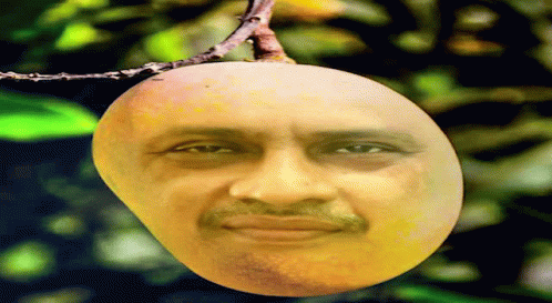 A Mango With A Man 'S Face On It Is Hanging From A Tree Branch GIF
